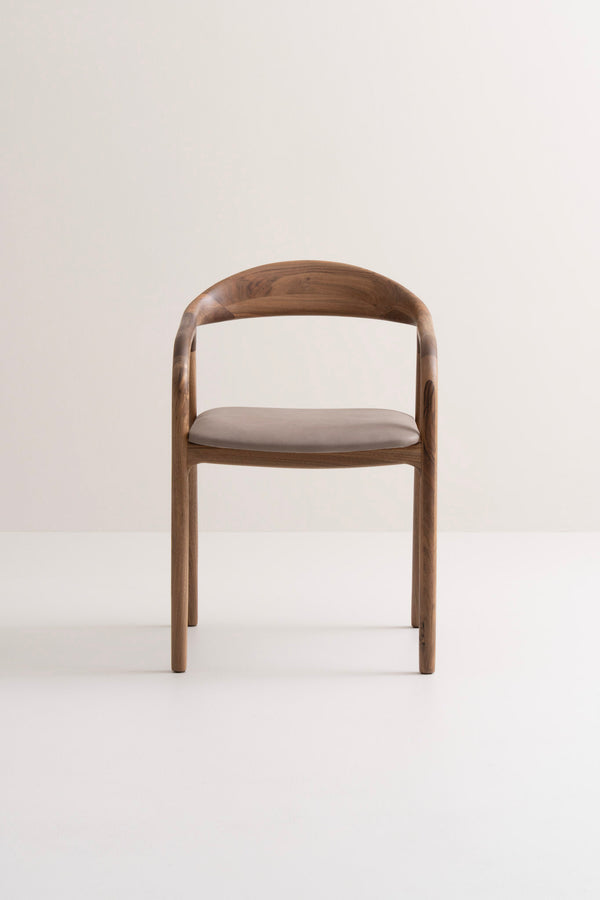 European Walnut