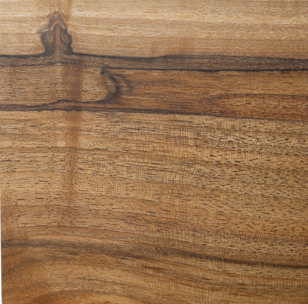 European Walnut